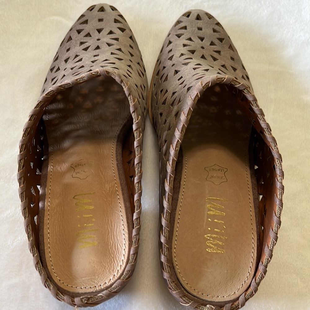 Buckle - Picture 6 of 6